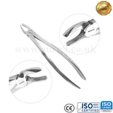 Aver - Teeth Extracting Forceps - English Pattern - USA Pattern - Best Quality