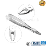 Aver - Teeth Extracting Forceps - English Pattern - USA Pattern - Best Quality