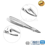 Aver - Teeth Extracting Forceps - English Pattern - USA Pattern - Best Quality