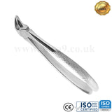 Aver - Teeth Extracting Forceps - English Pattern - USA Pattern - Best Quality