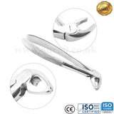 Aver - Teeth Extracting Forceps - English Pattern - USA Pattern - Best Quality