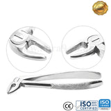 Aver - Teeth Extracting Forceps - English Pattern - USA Pattern - Best Quality