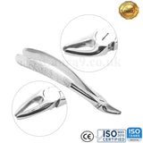 Aver - Teeth Extracting Forceps - English Pattern - USA Pattern - Best Quality