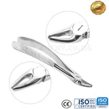 Teeth Extracting Forceps English and USA Pattern.
