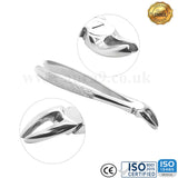 Aver - Teeth Extracting Forceps - English Pattern - USA Pattern - Best Quality