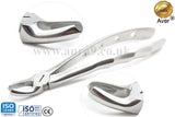 Dental Extracting Forceps for Adults