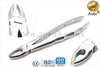 Dental Extracting Forceps for Adults