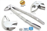 Dental Extracting Forceps for Adults